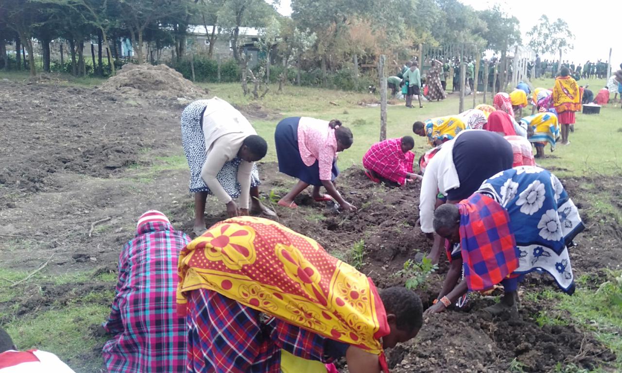 Tree planting with school children